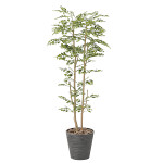 【送料無料】ゴールデンツリー1.6 (人工観葉植物) 高さ160cm 光触媒機能付 (811A350)