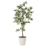 【送料無料】フィカスツリー1.5 (人工観葉植物) 高さ150cm 光触媒機能付 (823A300)