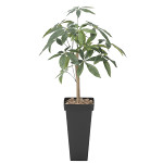 光触媒 人工観葉植物 スリムパキラ1.0 (高さ100cm)
