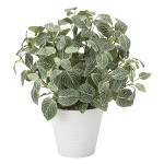 光触媒 人工観葉植物 造花 フィットニアM(フロック加工) (高さ48cm)