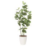 光触媒 人工観葉植物 造花 シ―グレ―プ1.2 (高さ120cm)