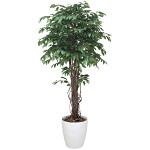 光触媒 人工観葉植物 造花 ベンジャミンリアナ 1.8 (高さ180cm)