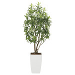 光触媒 人工観葉植物 フレッシュドラセナW1.8 (高さ180cm)