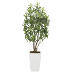 光触媒 人工観葉植物 造花 フレッシュドラセナW1.8 (高さ180cm)