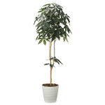 光触媒 人工観葉植物 デザインパキラ1.8 (高さ180cm)