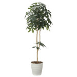 光触媒 人工観葉植物 造花 デザインパキラ1.8 (高さ180cm)