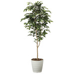 光触媒 人工観葉植物 造花 ベンジャミン1.6 (高さ160cm)