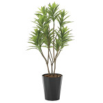 光触媒 人工観葉植物 造花 フレッシュドラセナ1.2 (高さ120cm)