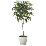光触媒 人工観葉植物 コーヒーツリー1.8 (高さ180cm)