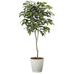 光触媒 人工観葉植物 造花 コーヒーツリー1.8 (高さ180cm)