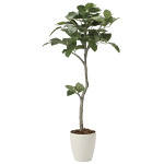 光触媒 人工観葉植物 造花 ベンガル菩提樹1.35 (高さ135cm)