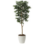 光触媒 人工観葉植物 造花 アルデシア(万両)1.6 (高さ160cm)