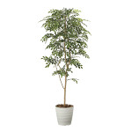 光触媒 人工観葉植物 カポック 1.8 (高さ180cm) - 店舗用品通販の