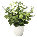 光触媒 人工観葉植物 造花 ミックスポトス (高さ52cm)