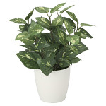 光触媒 人工観葉植物 造花 ポトスM (高さ36cm)
