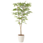 光触媒 人工観葉植物 造花 ライトトネリコ1.0 (高さ100cm)