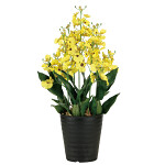 光触媒 人工観葉植物 造花 オンシジュームL (高さ53cm)