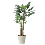 光触媒 人工観葉植物 造花 セローム1.8 (高さ180cm)
