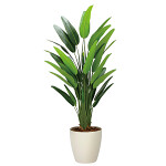 光触媒 人工観葉植物 造花 フレッシュトラベラーズパーム1.7 (高さ170cm)