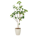 光触媒 人工観葉植物 造花 サラサドウダン1.2 (高さ120cm)