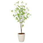 光触媒 人工観葉植物 造花 クロモジ1.2 (高さ120cm)