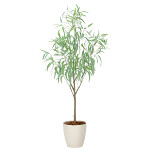 光触媒 人工観葉植物 造花 フレッシュシルバーユーカリ1.7 (高さ170cm)