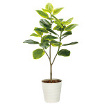 光触媒 人工観葉植物 造花 フレッシュアルテシマ1.35 (高さ135cm)