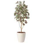 光触媒 人工観葉植物 造花 コリウス1.1 (高さ110cm)