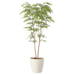 光触媒 人工観葉植物 造花 ライトトネリコ1.8 (高さ180cm)