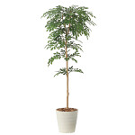 光触媒 人工観葉植物 造花 トネリコ1.3 (高さ130cm)