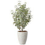 光触媒 人工観葉植物 造花 ナチュラルユーカリツリー1.5 (高さ150cm)