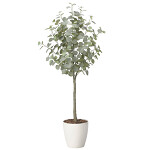 光触媒 人工観葉植物 造花 ユーカリツリー1.65 (高さ165cm)