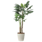 光触媒 人工観葉植物 造花 セロームW1.8 (高さ180cm)