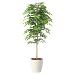 光触媒 人工観葉植物 造花 ケヤキ1.6 (高さ160cm)