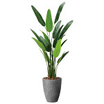 光触媒 人工観葉植物 造花 ナチュラルトラベラーズパーム1.6 (高さ160cm)
