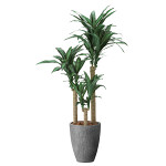 光触媒 人工観葉植物 造花 ナチュラル幸福の木1.65 (高さ165cm)