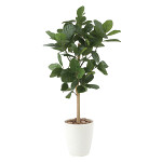 光触媒 人工観葉植物 造花 パンの木90 (高さ90cm)