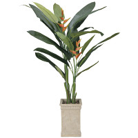 【送料無料】ヘリコニア 2.0 (人工観葉植物) 高さ200cm 光触媒機能付 (123G870)