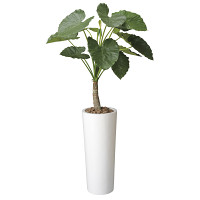 光触媒 人工観葉植物 アートくわず芋1.8 (高さ180cm)