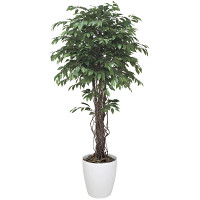 【2019年新商品】【送料無料】ベンジャミンリアナ 1.8 (造花) 高さ180cm 光触媒 (152F600)