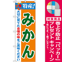 のぼり旗 特産!みかん (21478) [プレゼント付]