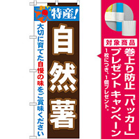 のぼり旗 特産!自然薯 (21509) [プレゼント付]