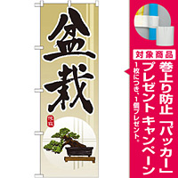 のぼり旗 盆栽 (GNB-1012) [プレゼント付]