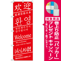 のぼり旗 いらっしゃい 3ヶ国版 (GNB-2824) [プレゼント付]
