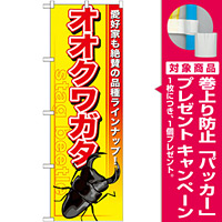 のぼり旗 オオクワガタ (GNB-594) [プレゼント付]