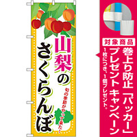 のぼり旗 山梨のさくらんぼ (SNB-1335) [プレゼント付]