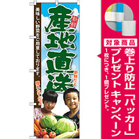 のぼり旗 産地直送 子供写真 (SNB-2205) [プレゼント付]