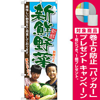 のぼり旗 新鮮野菜 子供写真 (SNB-2206) [プレゼント付]