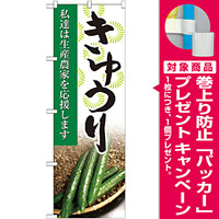 のぼり旗 きゅうり 写真 (SNB-2261) [プレゼント付]