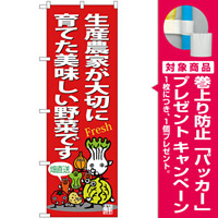 のぼり旗 生産農家が大切に育てた美味しい野菜です (SNB-4365) [プレゼント付]